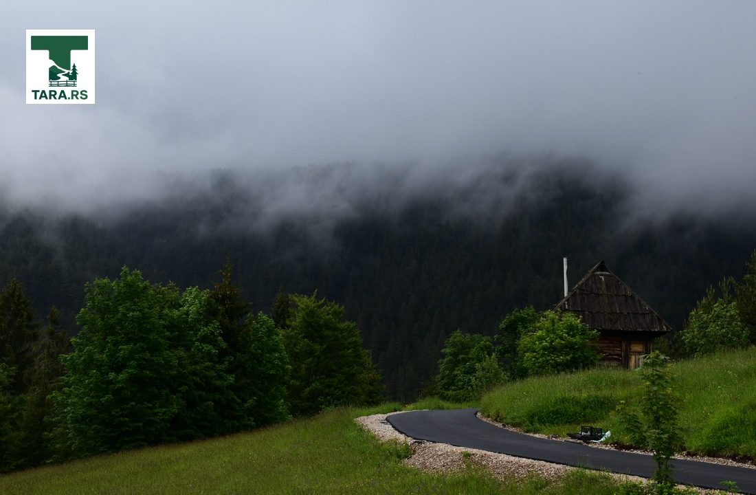 čar šume vikendica mokra gora tara smeštaj -33
