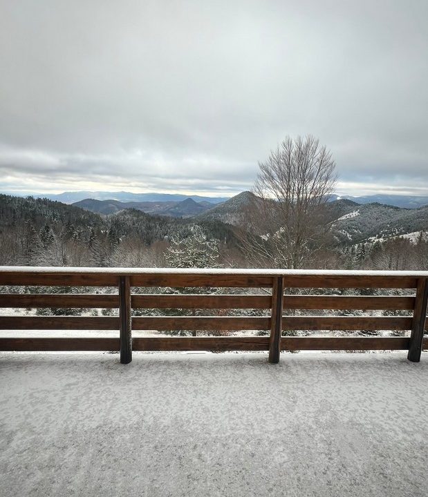 čar šume vikendica mokra gora tara smeštaj -35