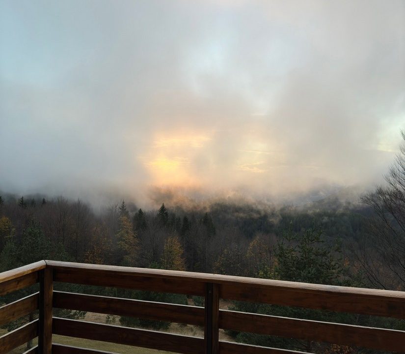 čar šume vikendica mokra gora tara smeštaj -36