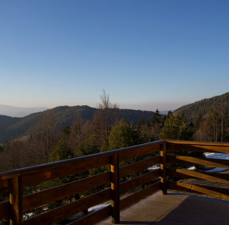 čar šume vikendica mokra gora tara smeštaj -39