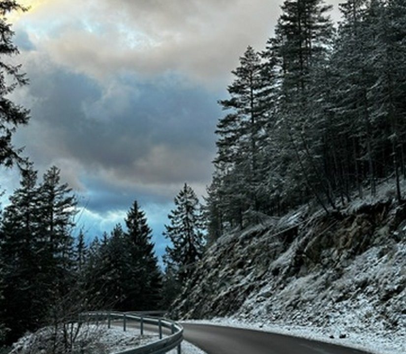 čar šume vikendica mokra gora tara smeštaj -40