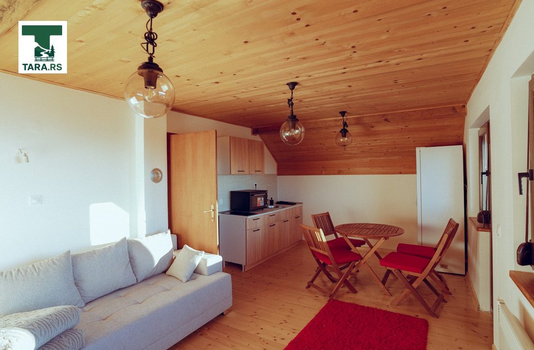 čar šume vikendica mokra gora tara smeštaj -9