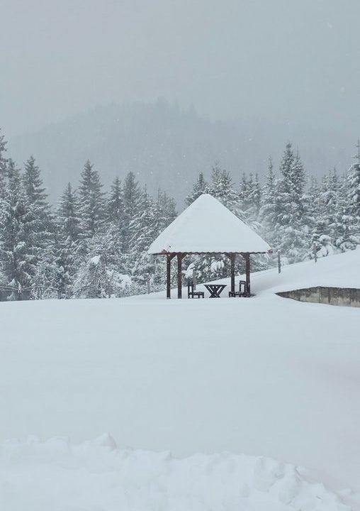 apartman-taramagic-zaovine-tara-smeštaj-19