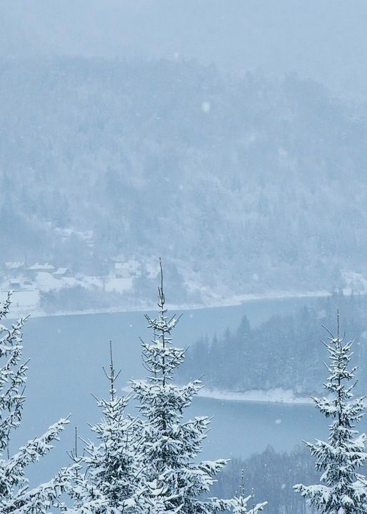 apartman-taramagic-zaovine-tara-smeštaj-25