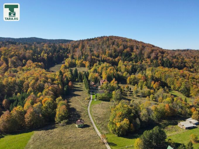 Planina Tara Sokolina na Tari (12)