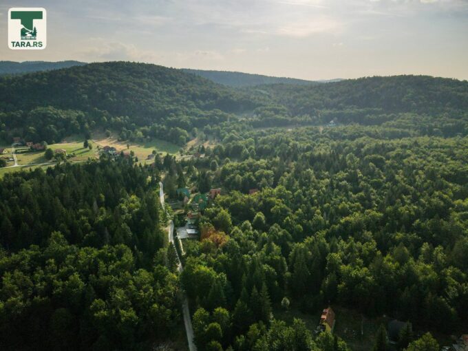 Planina Tara Sokolina na Tari (15)