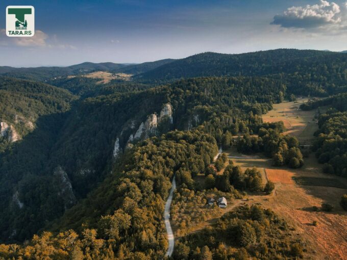 Planina Tara Sokolina na Tari (27)