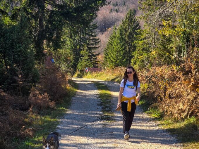 Planina Tara Sokolina na Tari (3)