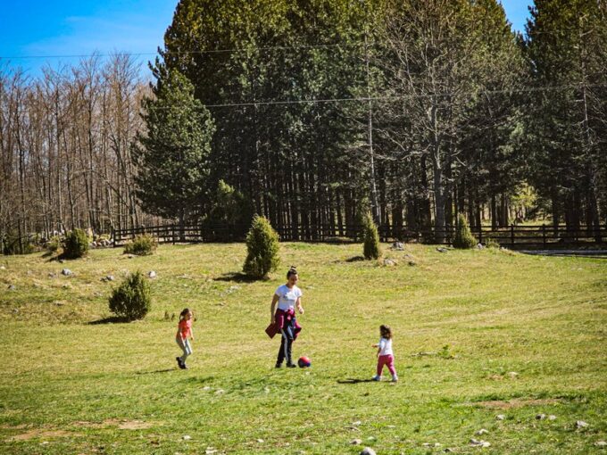 Planina Tara Sokolina na Tari (59)