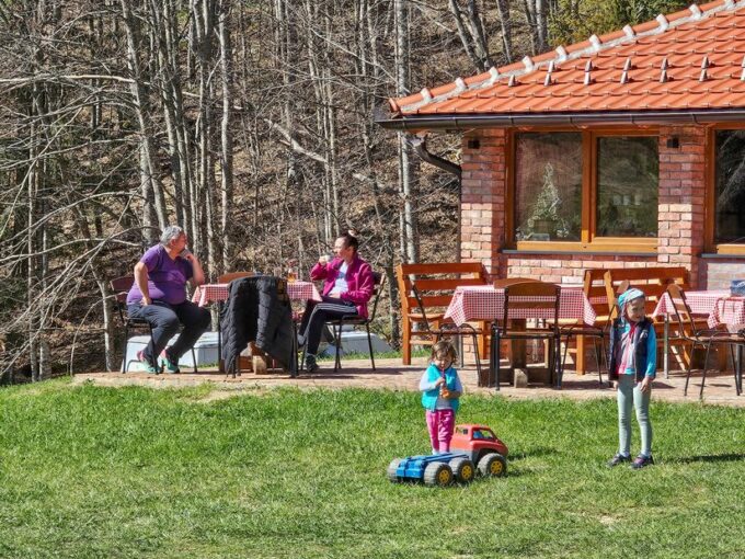 Planina Tara Sokolina na Tari (61)