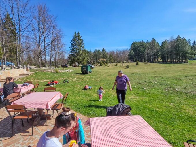 Planina Tara Sokolina na Tari (63)