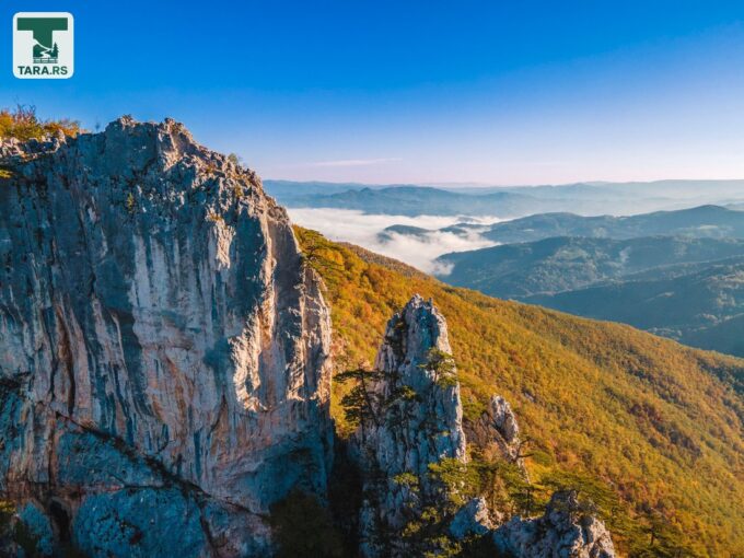 Planina Tara Sokolina na Tari (67)