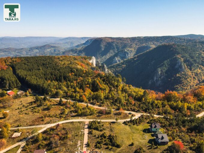 Planina Tara Sokolina na Tari (9)