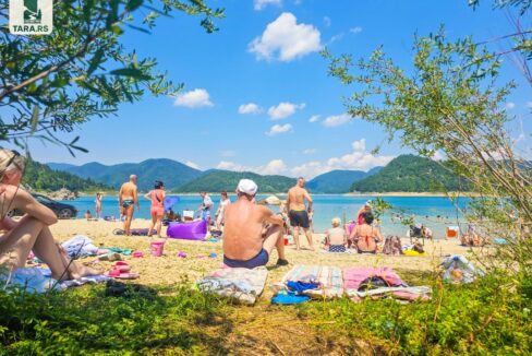 Planina Tara - odmor i smeštaj na planini Tari (63)