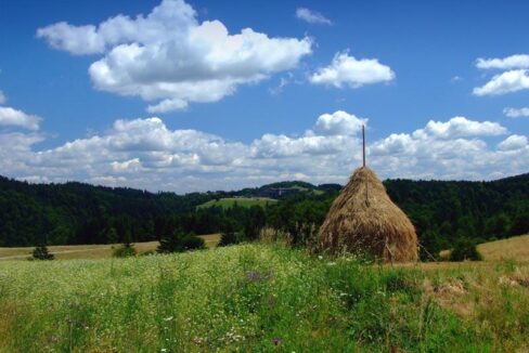 Tara-Sljivovica-2 (web)