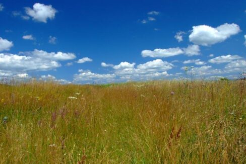 Tara-Sljivovica-8 (web)
