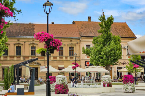 bajina bašta smeštaj i odmor drina tara (9)