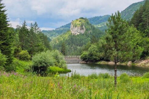 jezero-lipovica-planina-tara-zaovine-5