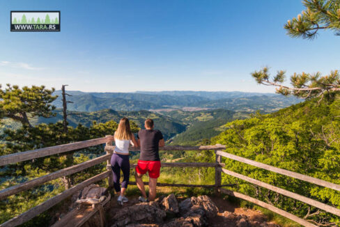 planina-tara-kaludjerske-bare-leto (13)