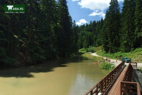 racanska-sljivovica-planina-tara (10)