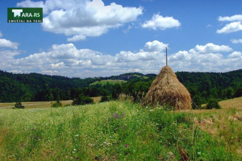racanska-sljivovica-planina-tara (6)