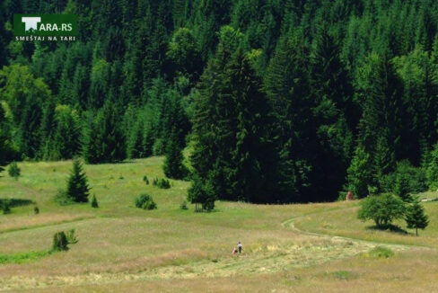 racanska-sljivovica-planina-tara (7)