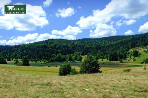 racanska-sljivovica-planina-tara (8)