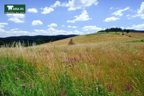 racanska-sljivovica-planina-tara (9)