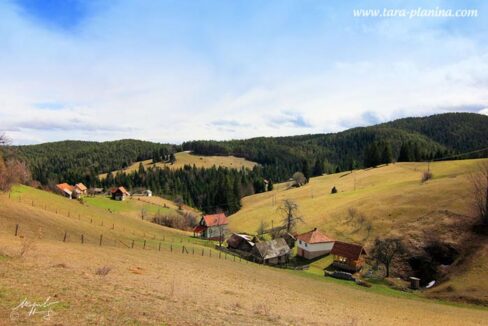 racanska-sljivovica-tara-odmor-s2