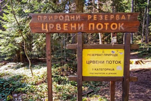 rezervat prirode crveni potok sa tepih livadom mitrovac na tari (7)
