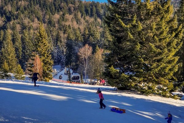 Planina Tara - odmor i smeštaj na planini Tari (284)