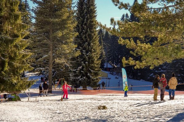 Planina Tara - odmor i smeštaj na planini Tari (285)