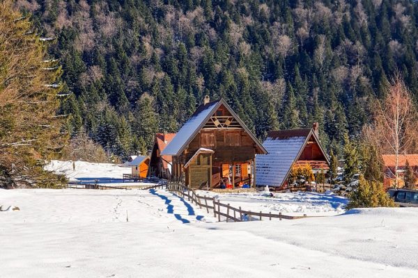 Planina Tara - odmor i smeštaj na planini Tari (288)