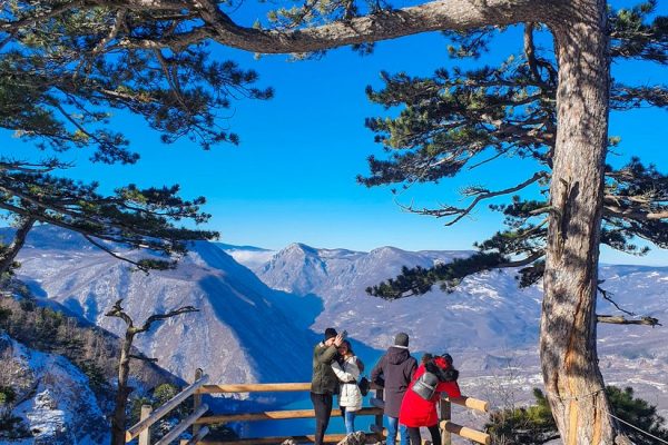 Planina Tara - odmor i smeštaj na planini Tari (296)