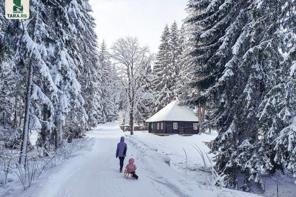 Planina Tara - odmor i smeštaj na planini Tari (341)