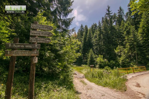 hajdučka česma na planini Tari izlet izletište (1)
