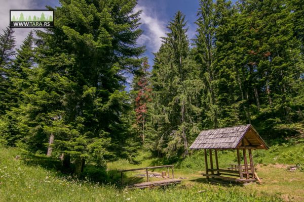 hajdučka česma na planini Tari izlet izletište (10)