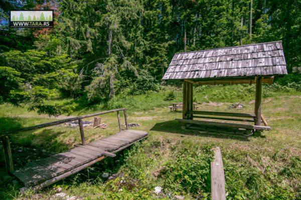 hajdučka česma na planini Tari izlet izletište (11)