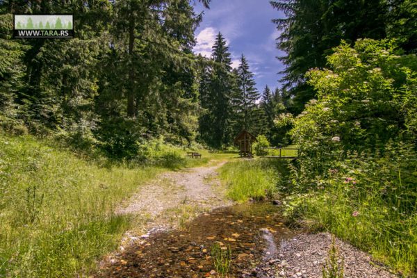 hajdučka česma na planini Tari izlet izletište (2)