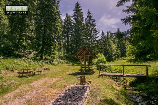 hajdučka česma na planini Tari izlet izletište (3)