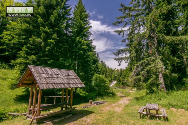 hajdučka česma na planini Tari izlet izletište (4)