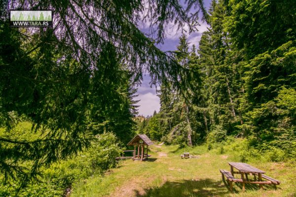 hajdučka česma na planini Tari izlet izletište (9)