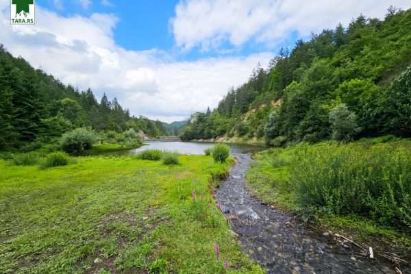 jezero-lipovica-planina-tara-zaovine-2