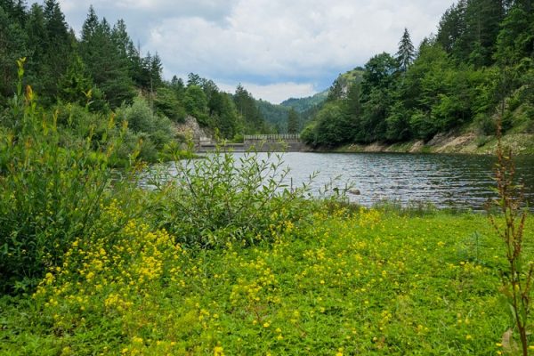 jezero-lipovica-planina-tara-zaovine-6