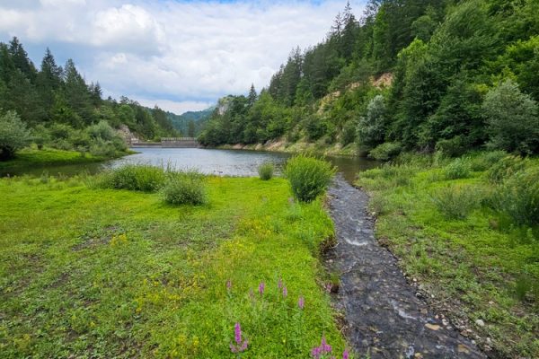 jezero-lipovica-planina-tara-zaovine-7