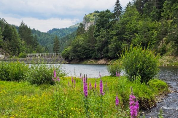 jezero-lipovica-planina-tara-zaovine-8