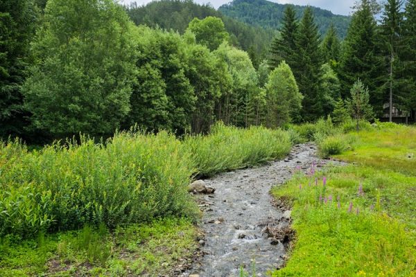 jezero-lipovica-planina-tara-zaovine-9