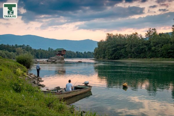 kućica na steni na reci drini bajina bašta drina tara (4)