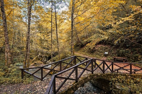 manastir raća i šetna staza rača lađevac (11)