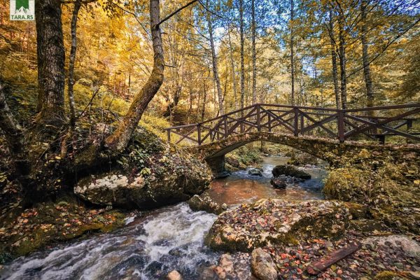 manastir raća i šetna staza rača lađevac (23)